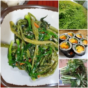 정자리 장터,강원도 인제 청정 산골 눈개승마 삼나물 1kg (예약판매)